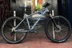 Vitus Nucleus Mountain Bike